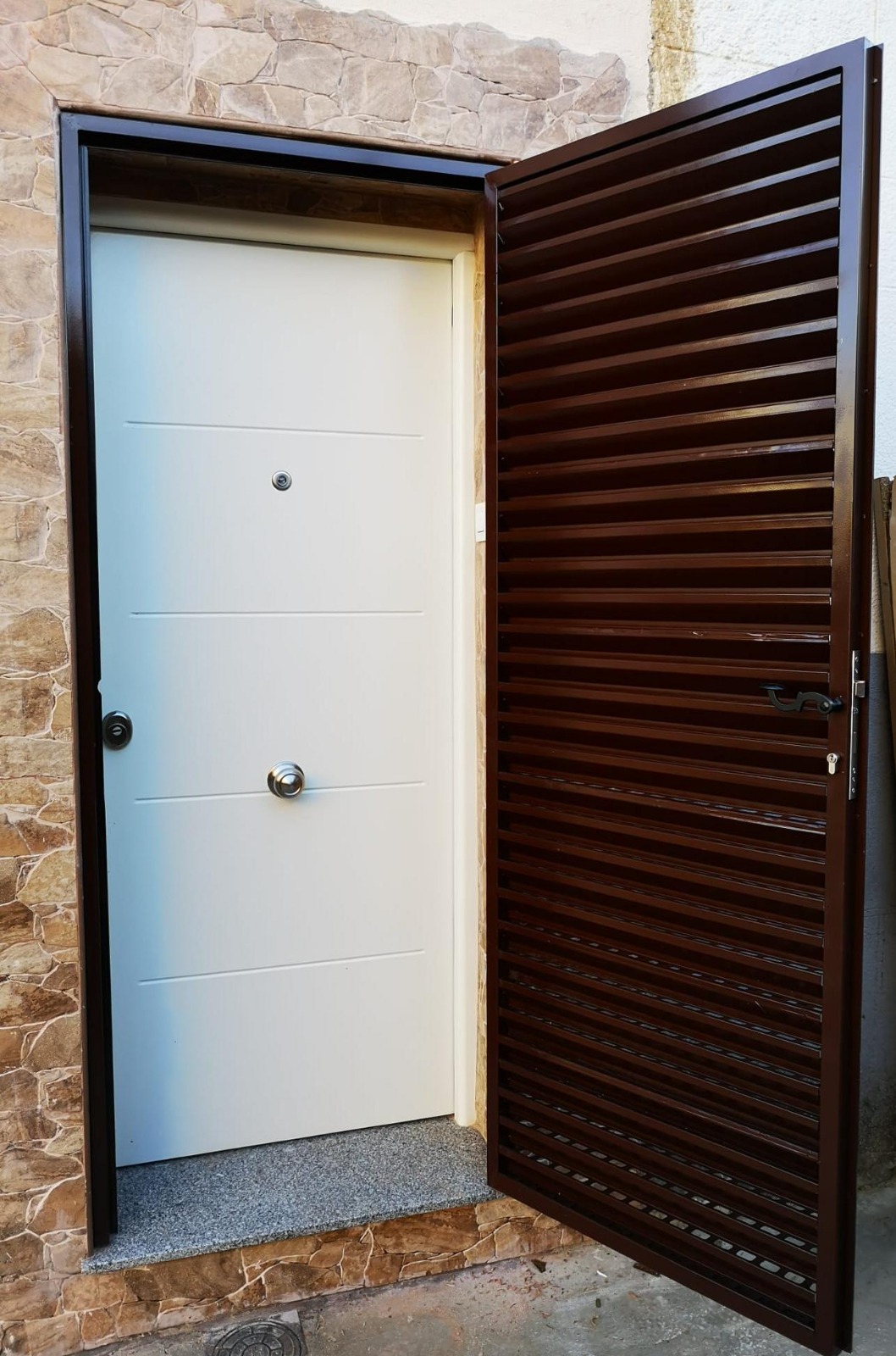 Puerta metálica